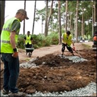 Revamped skills area at Delamere Forest